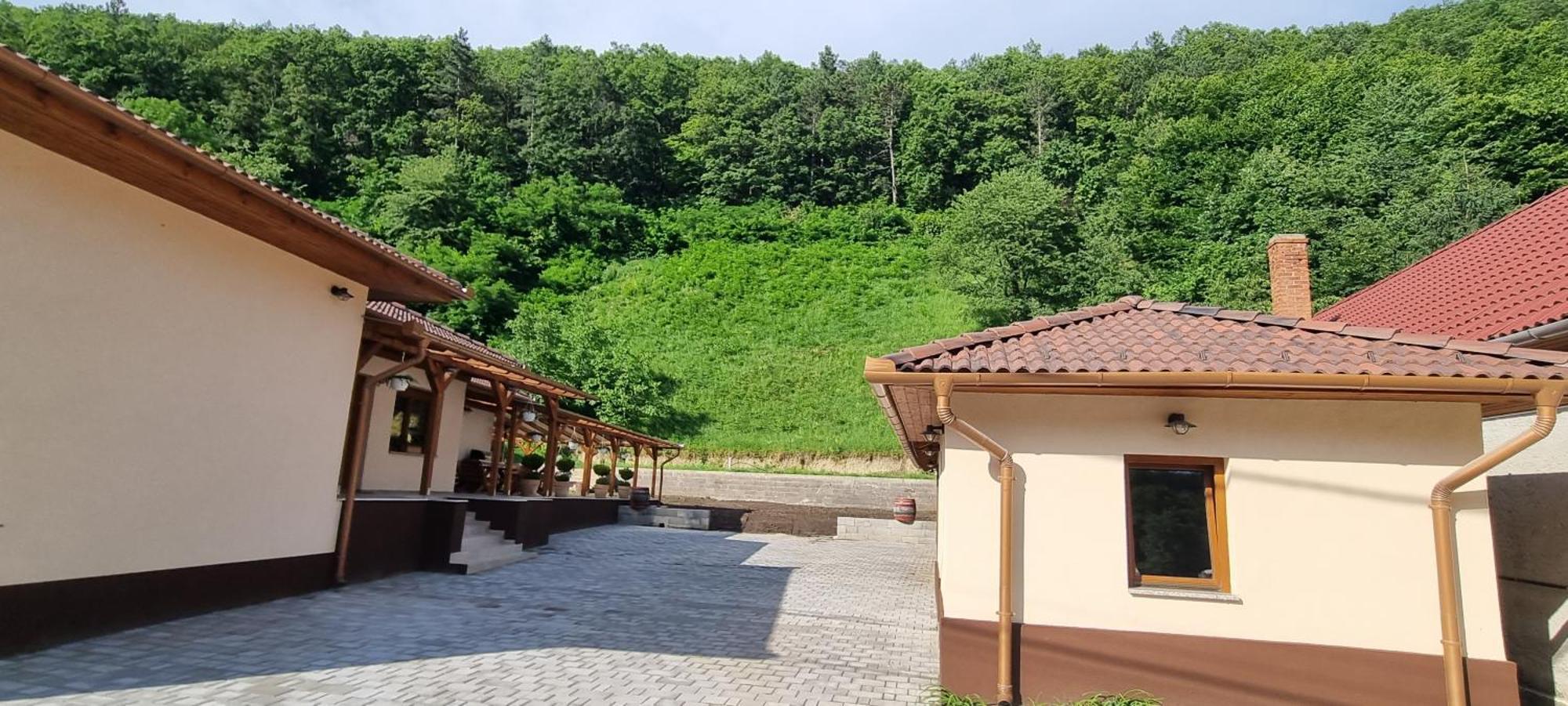 Hos Vendeghaz Miskolc -Oenallo Vendeghaz, Mely Csak Az Oenoeke Buitenkant foto